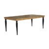 WINSTON SERIES DINING TABLE